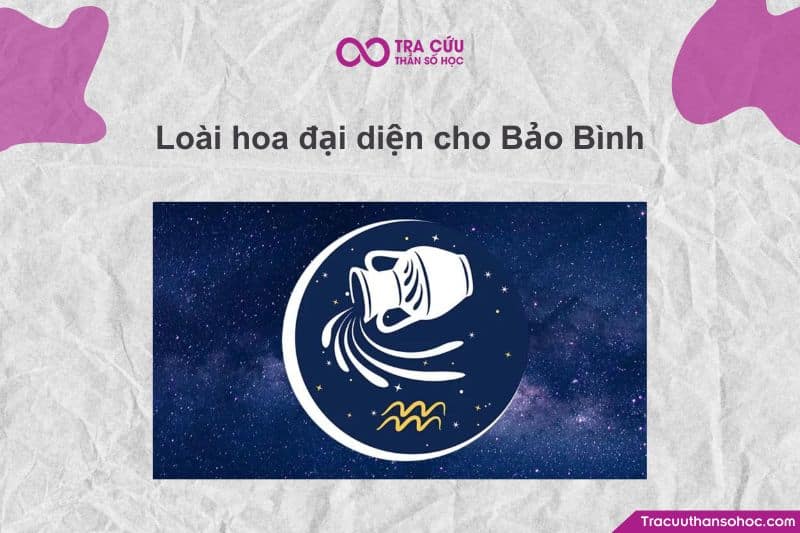 Bảo Bình (Aquarius) – cung hoàng đạo của tự do, sáng tạo và nhân văn Bảo Bình (Aquarius) – cung hoàng đạo của tự do, sáng tạo và nhân văn