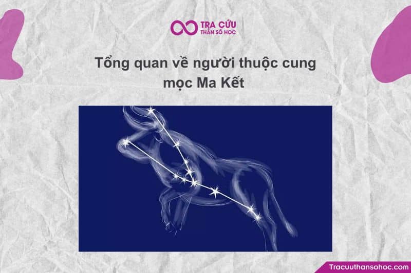 Cung Mọc Ma Kết chính là “bộ áo giáp” bạn khoác lên khi bước ra thế giới Cung Mọc Ma Kết chính là “bộ áo giáp” bạn khoác lên khi bước ra thế giới