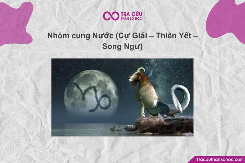 Nhóm Nước tượng trưng cho cảm xúc – tiềm thức – sự kết nối – và trí tuệ tâm hồn. Nhóm Nước tượng trưng cho cảm xúc – tiềm thức – sự kết nối – và trí tuệ tâm hồn.
