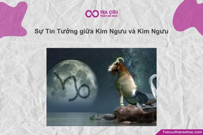 Kim Ngưu và Kim Ngưu có hợp với nhau không? 23 Sự tin tưởng giữa hai Kim Ngưu ♉, ta đang đề cập đến một cặp đôi có nền tảng ổn định và khả năng xây dựng niềm tin tự nhiên cao bậc nhất trong 12 cung hoàng đạo.