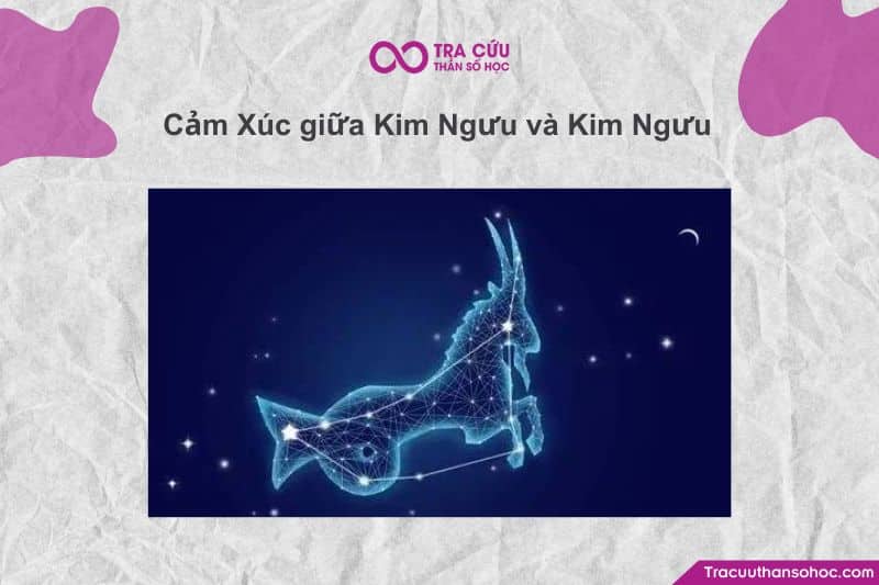 Khi tìm hiểu “Kim Ngưu và Kim Ngưu có hợp với nhau không?”, yếu tố cảm xúc chính là một trong những điểm then chốt giúp chúng ta hiểu rõ sự kết nối sâu sắc giữa hai người cùng cung này. Khi tìm hiểu “Kim Ngưu và Kim Ngưu có hợp với nhau không?”, yếu tố cảm xúc chính là một trong những điểm then chốt giúp chúng ta hiểu rõ sự kết nối sâu sắc giữa hai người cùng cung này.