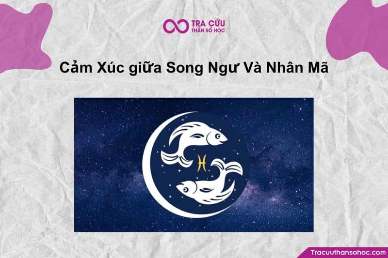 Cảm Xúc giữa Song Ngư và Nhân Mã – Khi Trái Tim mong An Toàn gặp Trái Tim khát Tự Do Cảm Xúc giữa Song Ngư và Nhân Mã – Khi Trái Tim mong An Toàn gặp Trái Tim khát Tự Do