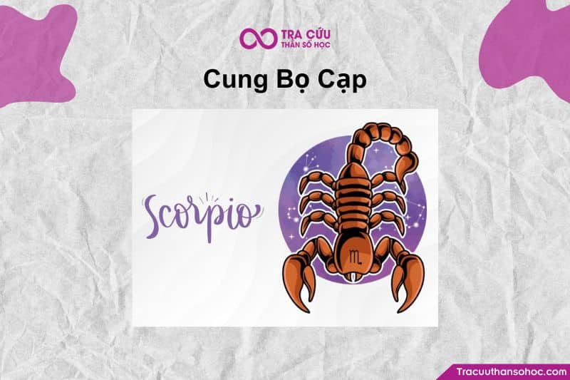 Bọ Cạp = Chiến binh nội tâm + Người tái sinh từ nghịch cảnh + Biểu tượng của đam mê và quyền lực. Bọ Cạp = Chiến binh nội tâm + Người tái sinh từ nghịch cảnh + Biểu tượng của đam mê và quyền lực.