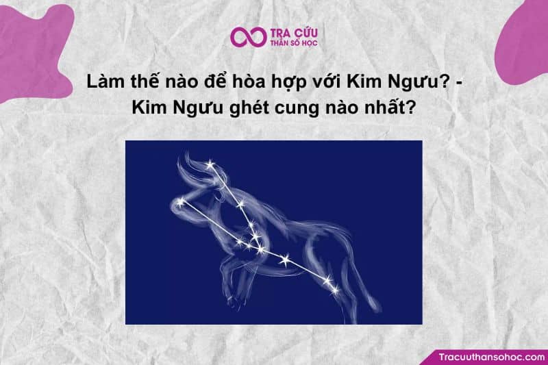 Kim Ngưu biểu tượng của sự ổn định, thực tế và kiên trì, là tuýp người sống nội tâm, yêu sự an toàn và ghét những điều bất ngờ không kiểm soát được. Kim Ngưu biểu tượng của sự ổn định, thực tế và kiên trì, là tuýp người sống nội tâm, yêu sự an toàn và ghét những điều bất ngờ không kiểm soát được.