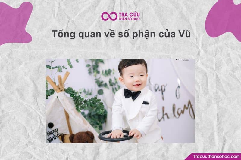 Tên Vũ thường được hiểu là “mưa”, “khúc nhạc” hoặc “giông bão” - tượng trưng cho sự mạnh mẽ Tên Vũ thường được hiểu là “mưa”, “khúc nhạc” hoặc “giông bão” - tượng trưng cho sự mạnh mẽ
