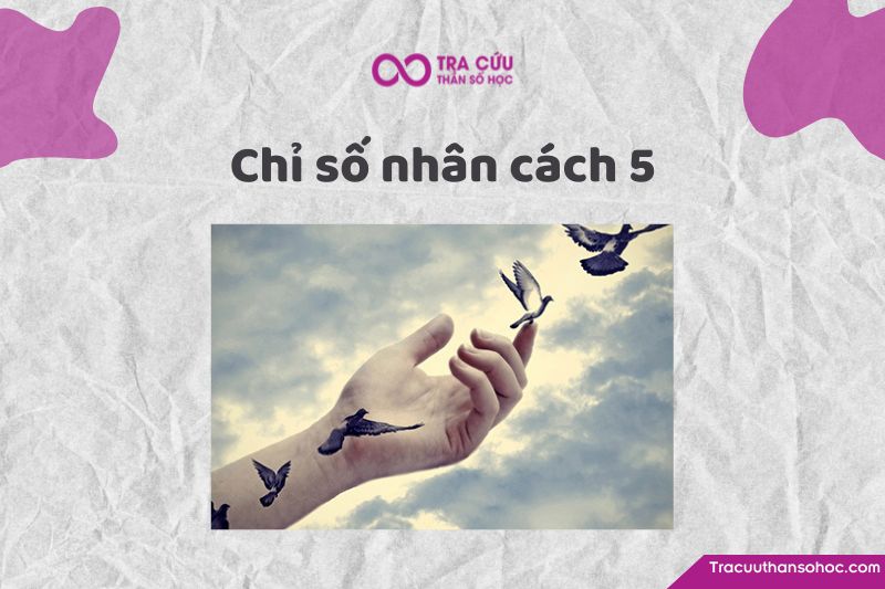 Chỉ số nhân cách 5 có ý nghĩa gì? Tìm hiểu về tính cách, tình yêu và sự nghiệp