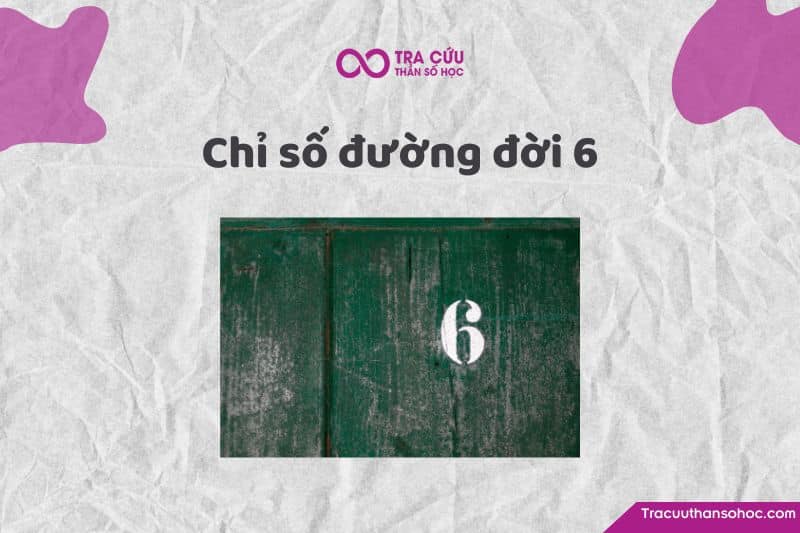 Chỉ số đường đời 6 là gì? Khám phá tính cách, tình duyên và nghề nghiệp phù hợp