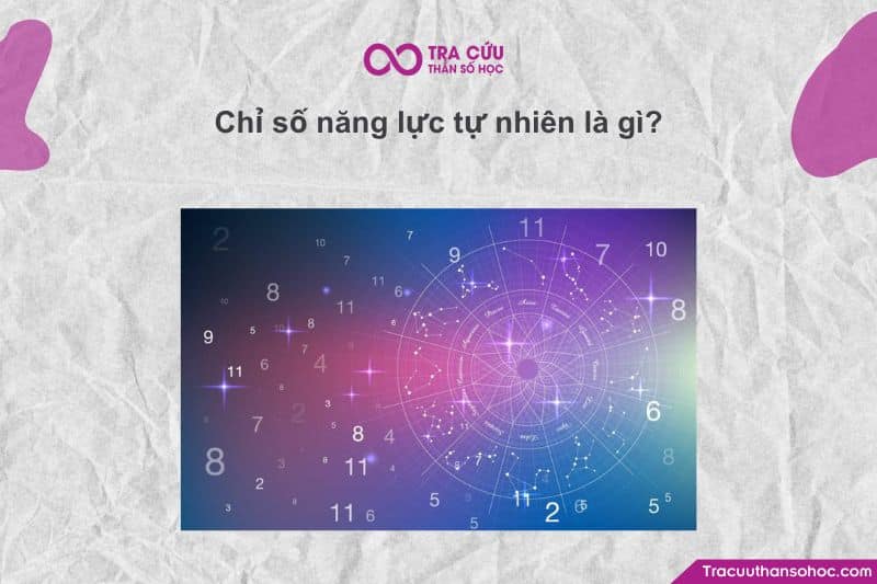 Chỉ số năng lực tự nhiên (đôi khi được gọi là chỉ số năng lực bẩm sinh hoặc năng khiếu tự nhiên) Chỉ số năng lực tự nhiên (đôi khi được gọi là chỉ số năng lực bẩm sinh hoặc năng khiếu tự nhiên)