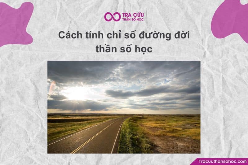 Chỉ số đường đời = Rút gọn (ngày sinh) + (tháng sinh) + (năm sinh) Chỉ số đường đời = Rút gọn (ngày sinh) + (tháng sinh) + (năm sinh)