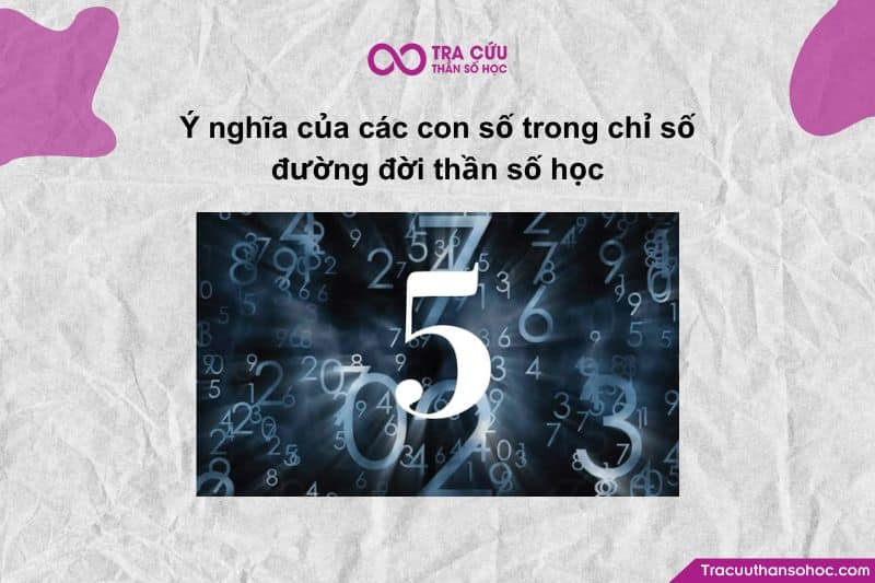 Ý nghĩa của các con số trong chỉ số đường đời thần số học Ý nghĩa của các con số trong chỉ số đường đời thần số học