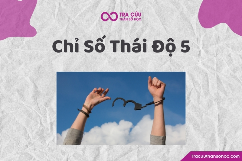 Chỉ số thái độ 5 là chỉ số thể hiện cách một người phản ứng ban đầu với cuộc sống bằng năng lượng của sự tự do, linh hoạt, trải nghiệm, thay đổi và khám phá. Chỉ số thái độ 5 là chỉ số thể hiện cách một người phản ứng ban đầu với cuộc sống bằng năng lượng của sự tự do, linh hoạt, trải nghiệm, thay đổi và khám phá.