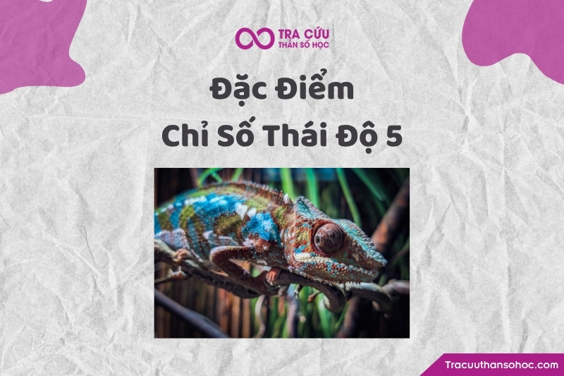 Đặc điểm của chỉ số thái độ 5 trong thần số học Đặc điểm của chỉ số thái độ 5 trong thần số học