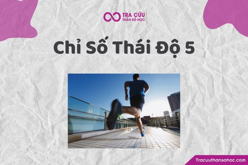 Chỉ số thái độ 5 là gì? Điểm mạnh, hạn chế và lời khuyên cho thái độ số 5 1 Chỉ số thái độ 5 là gì? Điểm mạnh, hạn chế và lời khuyên cho thái độ số 5